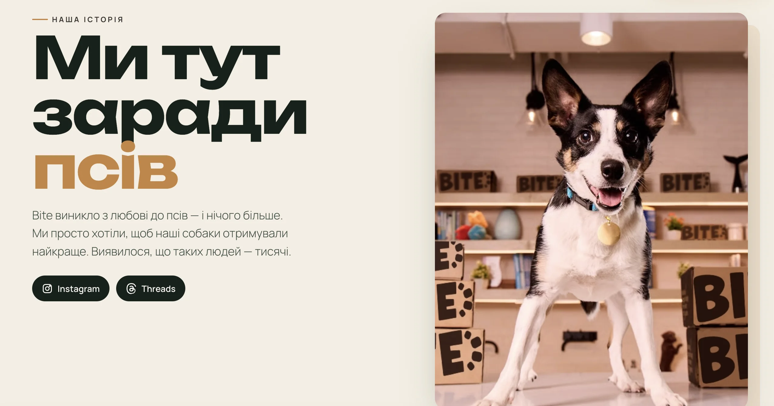 Bite — Сторінка «Наша історія»